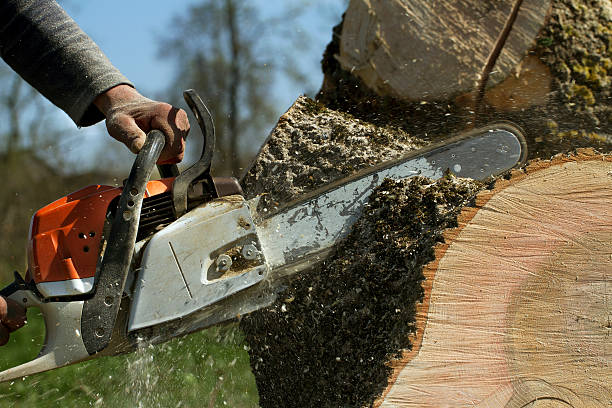 Best Tree Branch Trimming  in Byng, OK